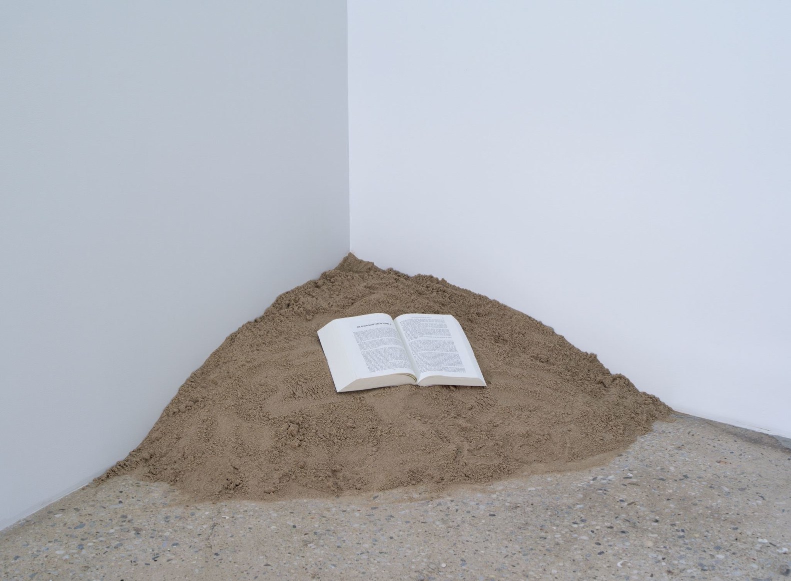 Dominique Gonzalez-Foerster, Untitled, 2011