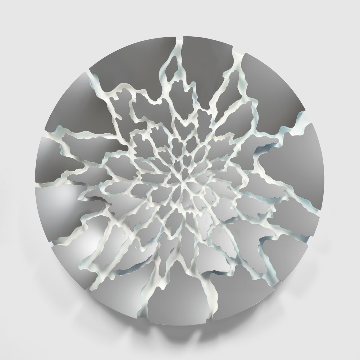 Doug Aitken, Terra (camouflage 175-13C)