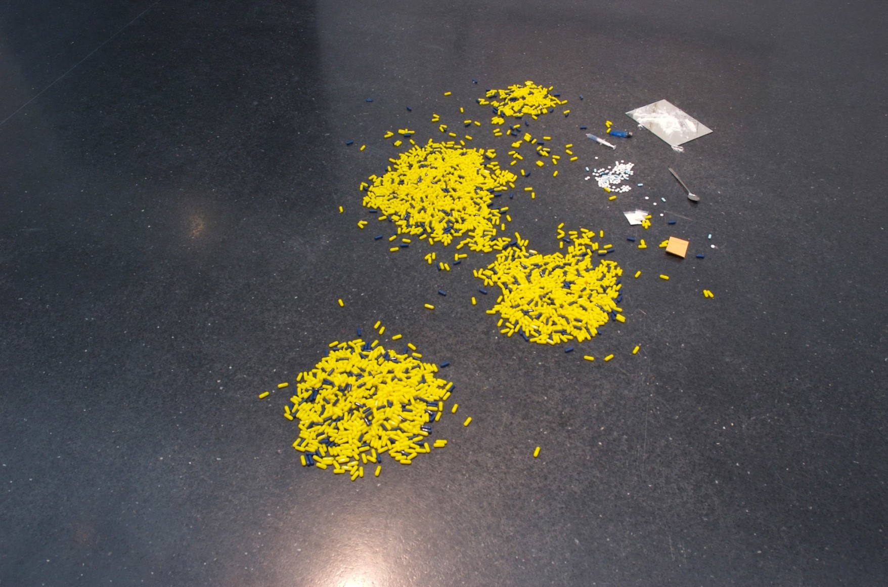 Karen Kilimnik, MCA Chicago, 2008