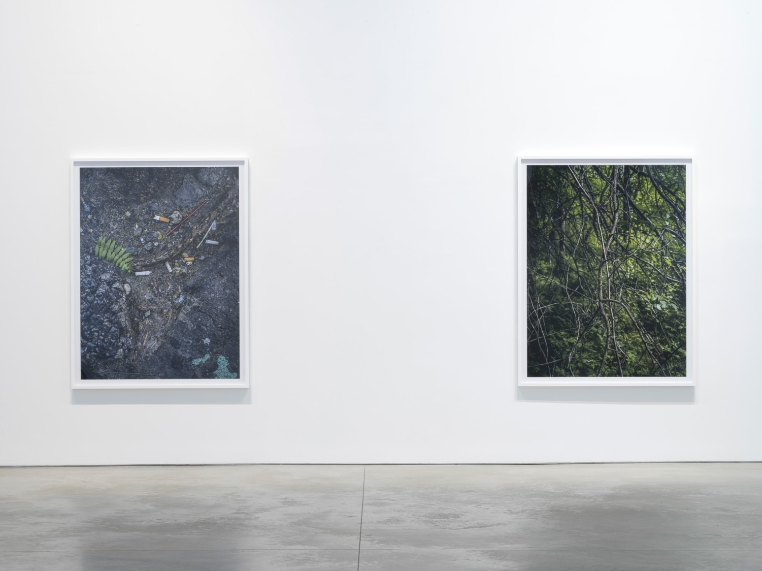 Installation view: Stephen Shore, 303 Gallery, New York, 2018