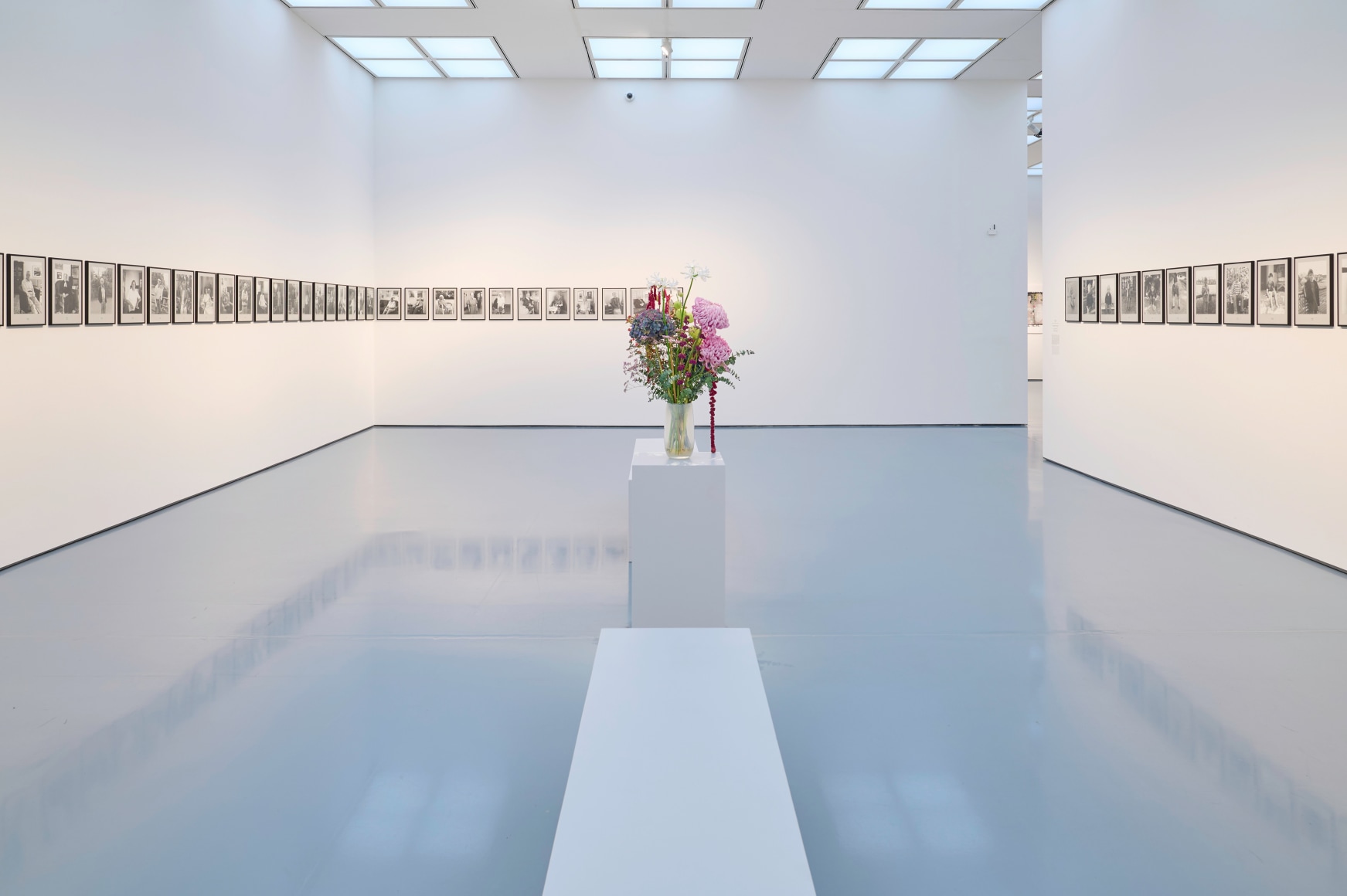 Installation view „Hans-Peter Feldmann. Art Exhibition“, Kunstpalast, Düsseldorf, 2025, © VG Bild-Kunst, Bonn 2025, Foto / Photo: Maris Prieditis