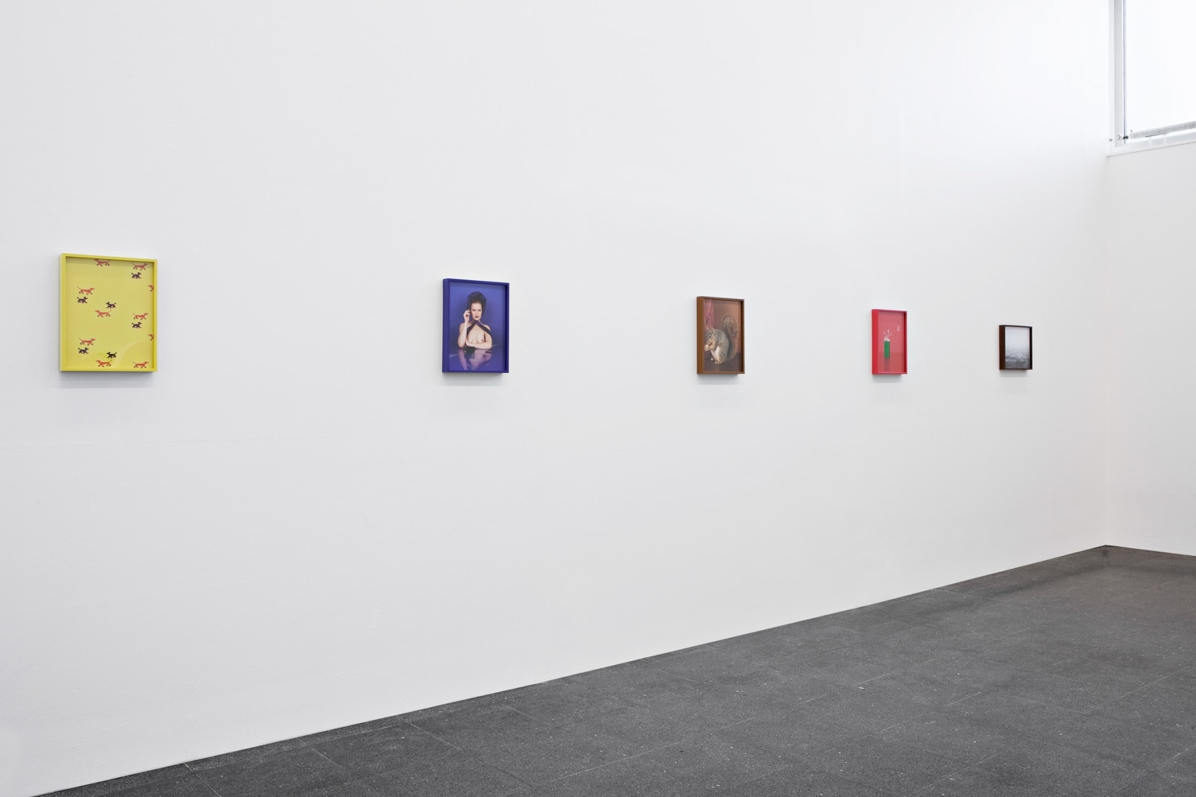 Elad Lassry, Installation view: Kunstnernes Hus, Oslo, 2012