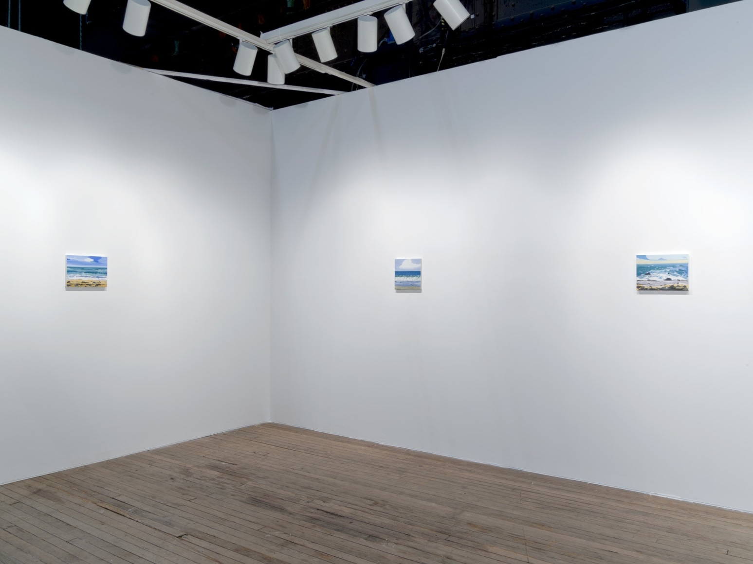 Installation view Maureen Gallace