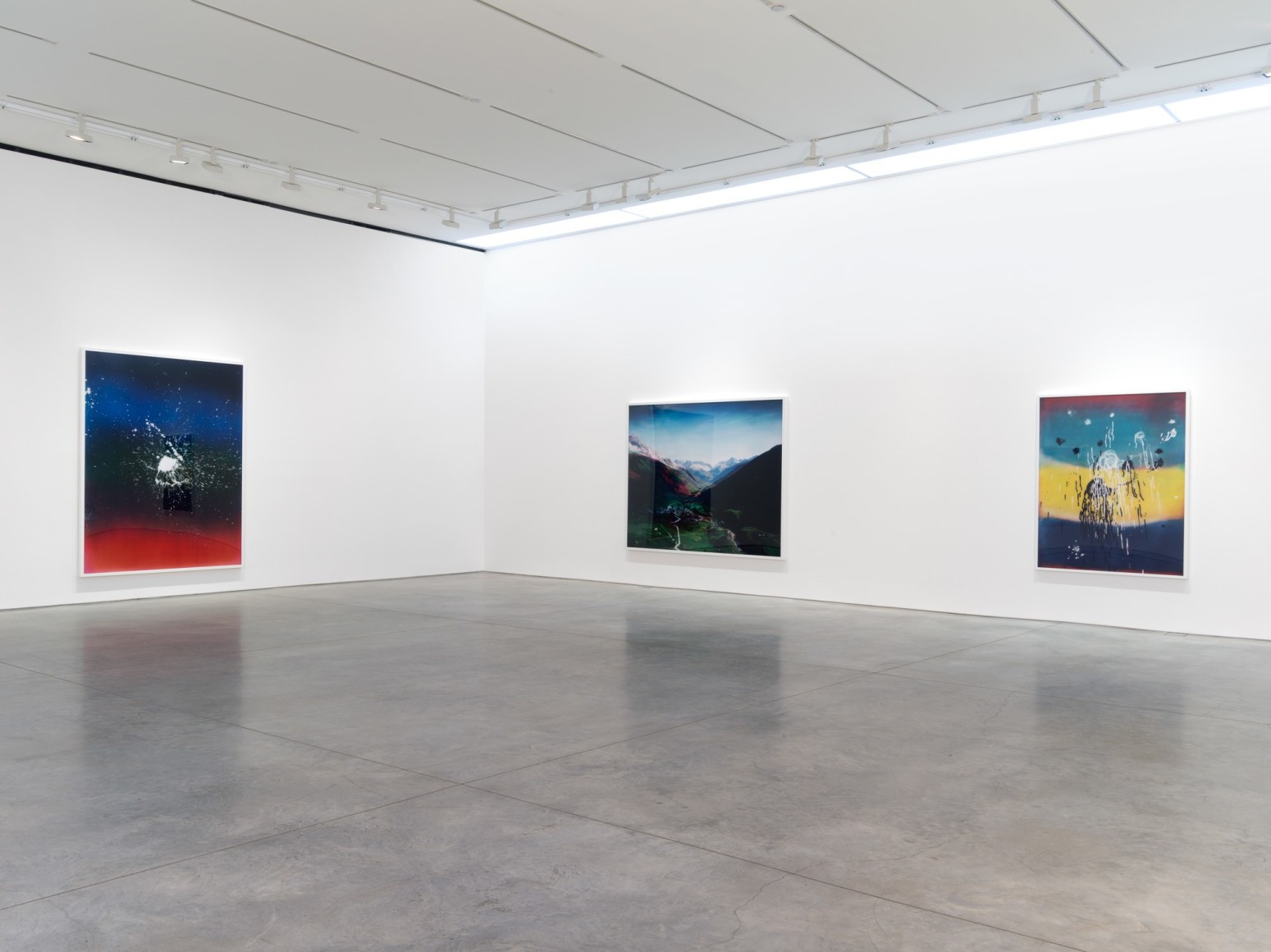 Florian Maier-Aichen, Installation at 303 Gallery, 2014