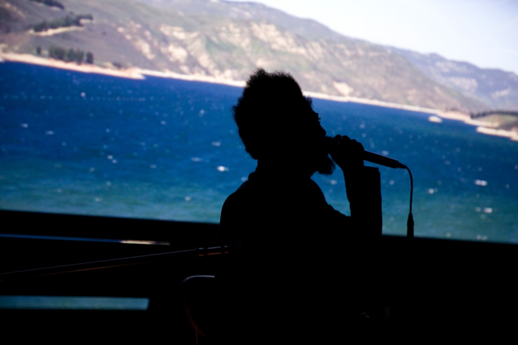 Doug Aitken, Sonic Happening, a live music performance set to the film installation of “migration (empire)” featuring Arp, Lichens and White Rainbow, 303 Gallery, 2008