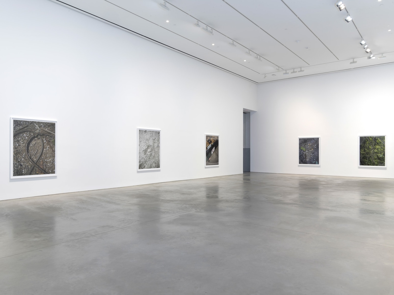 Installation view: Stephen Shore, 303 Gallery, New York, 2018