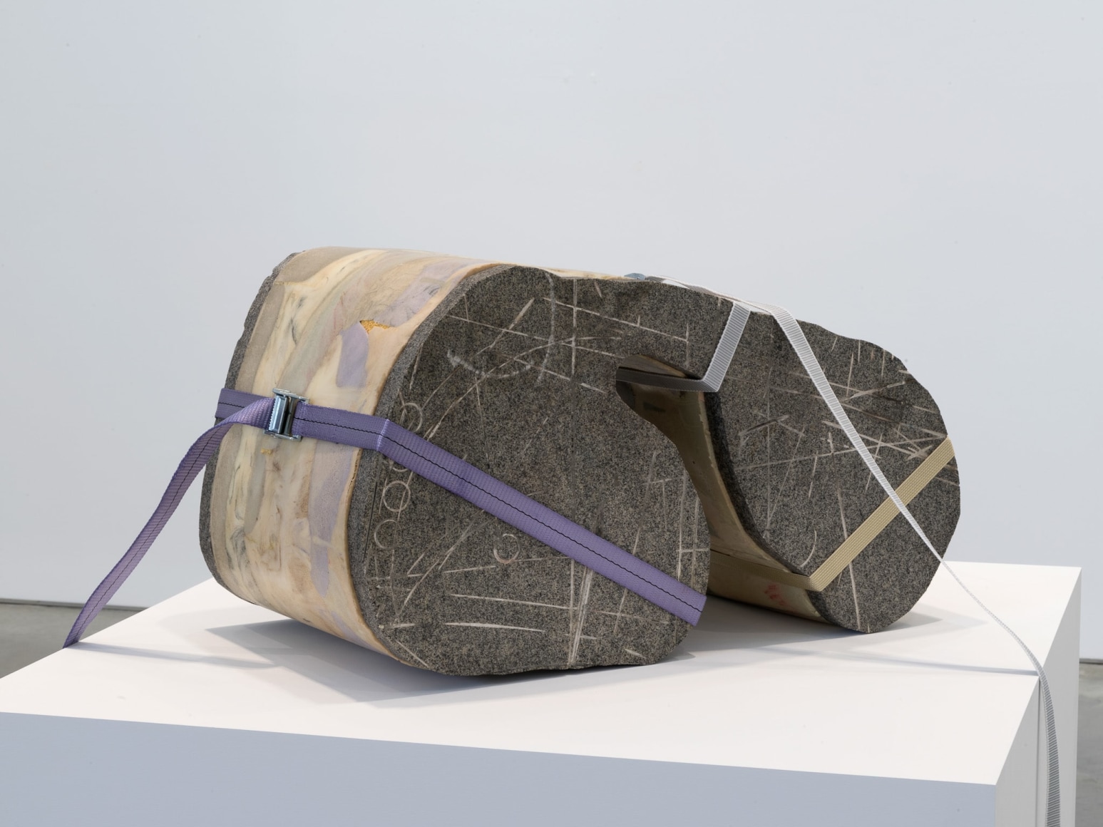 Marina Pinsky, Trigger Trace 1, 2018
