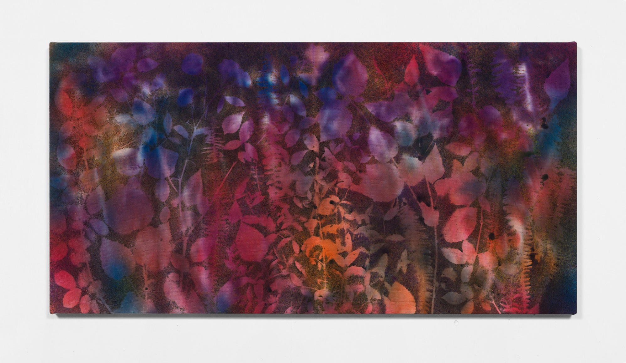 Sam Falls, Dusk Garden