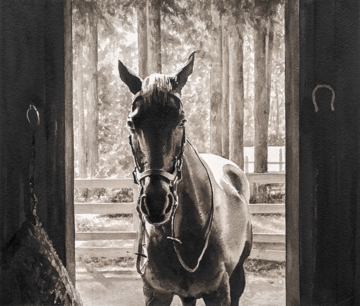 Tim Gardner, Untitled (horse in stall)