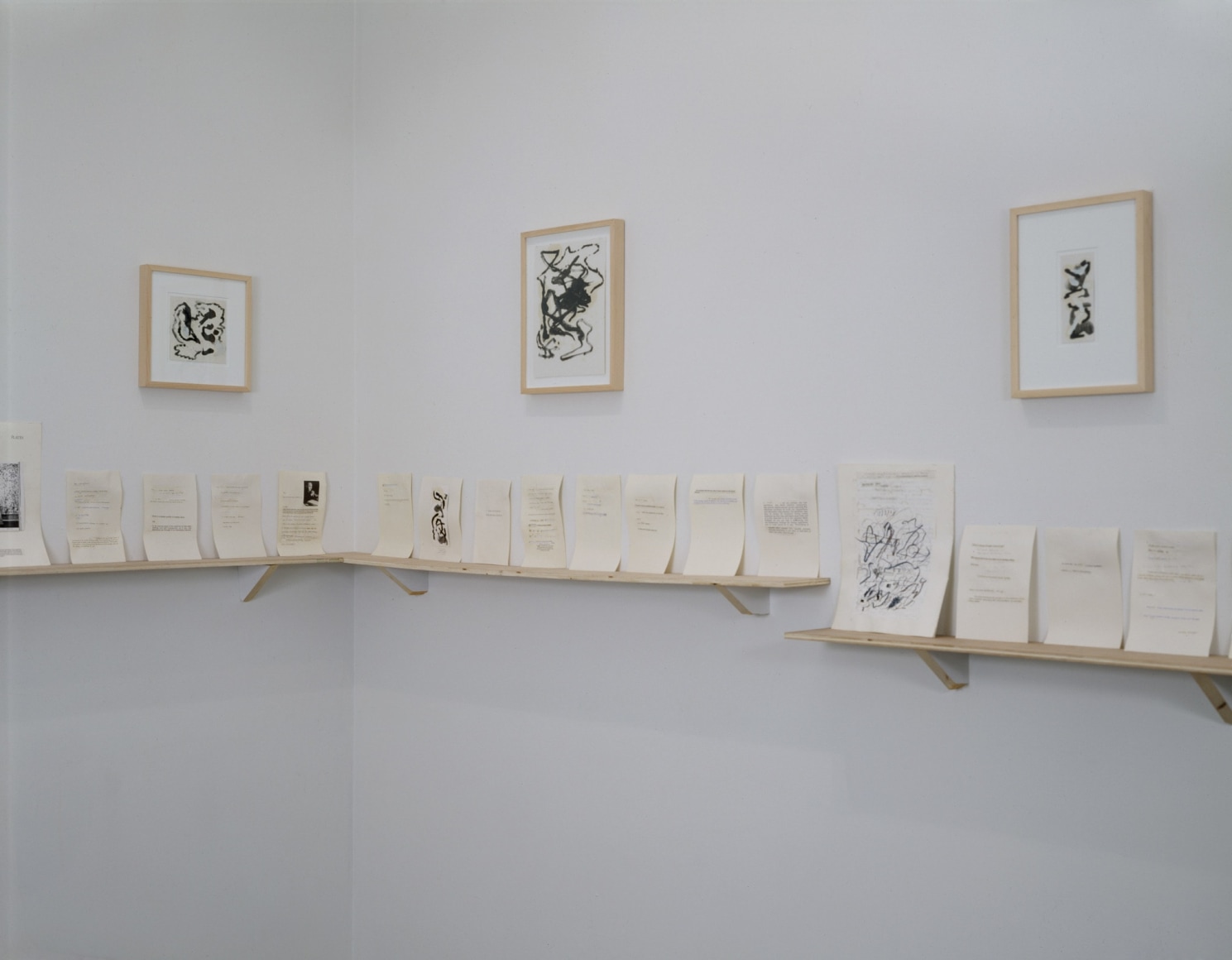 Installation view Paul Bloodgood