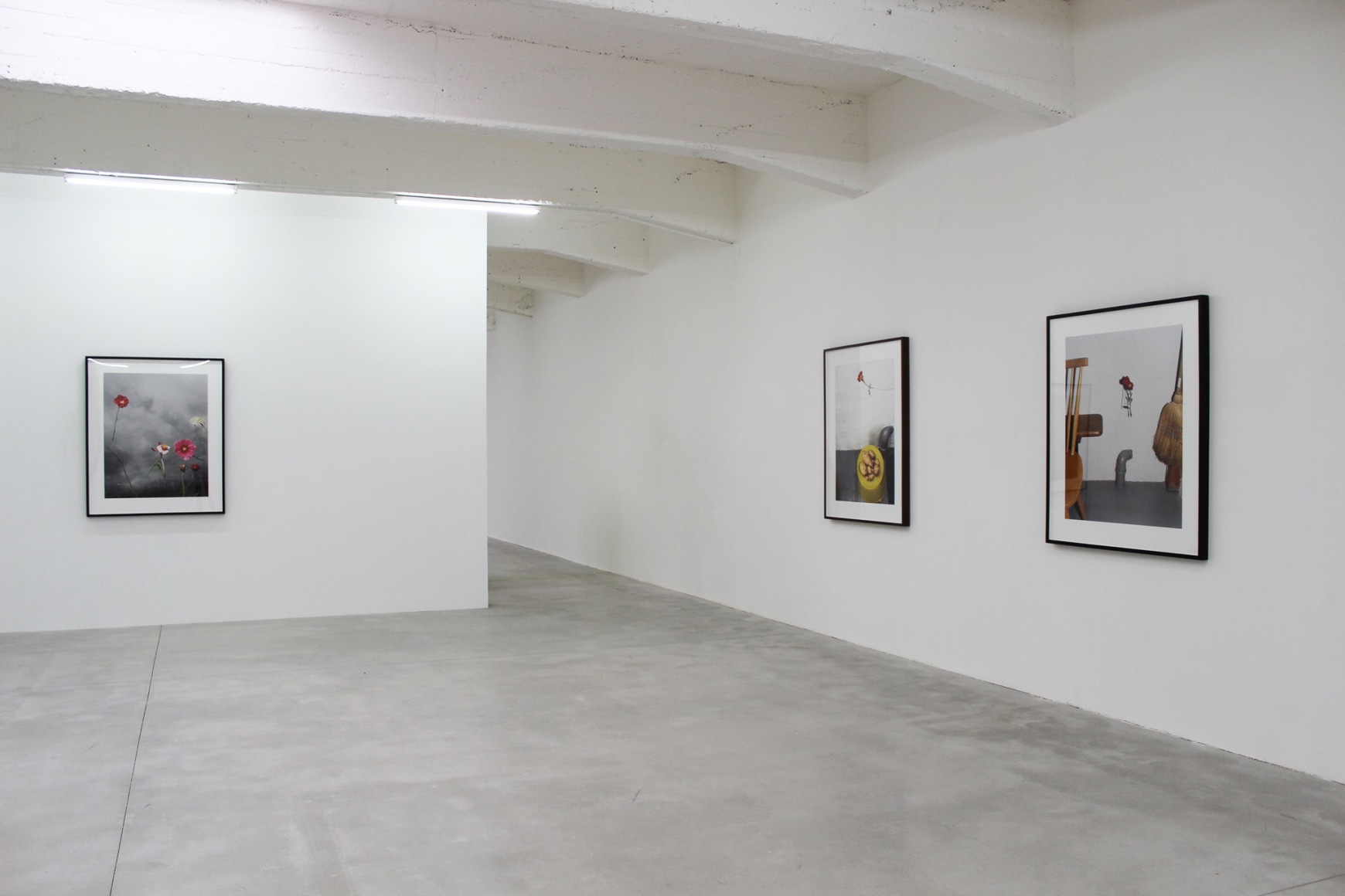 Installation view: L&rsquo;almanach 14: Collier Schorr