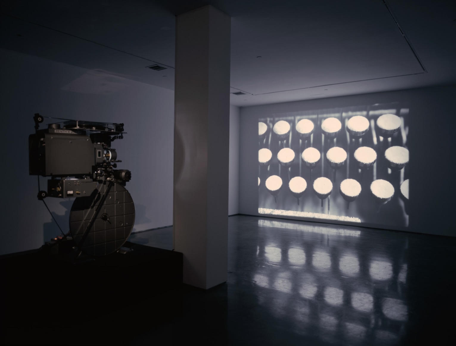 Rodney Graham, Rheinmetall / Victoria-8, 2003, Installation view: 303 Gallery, 2004