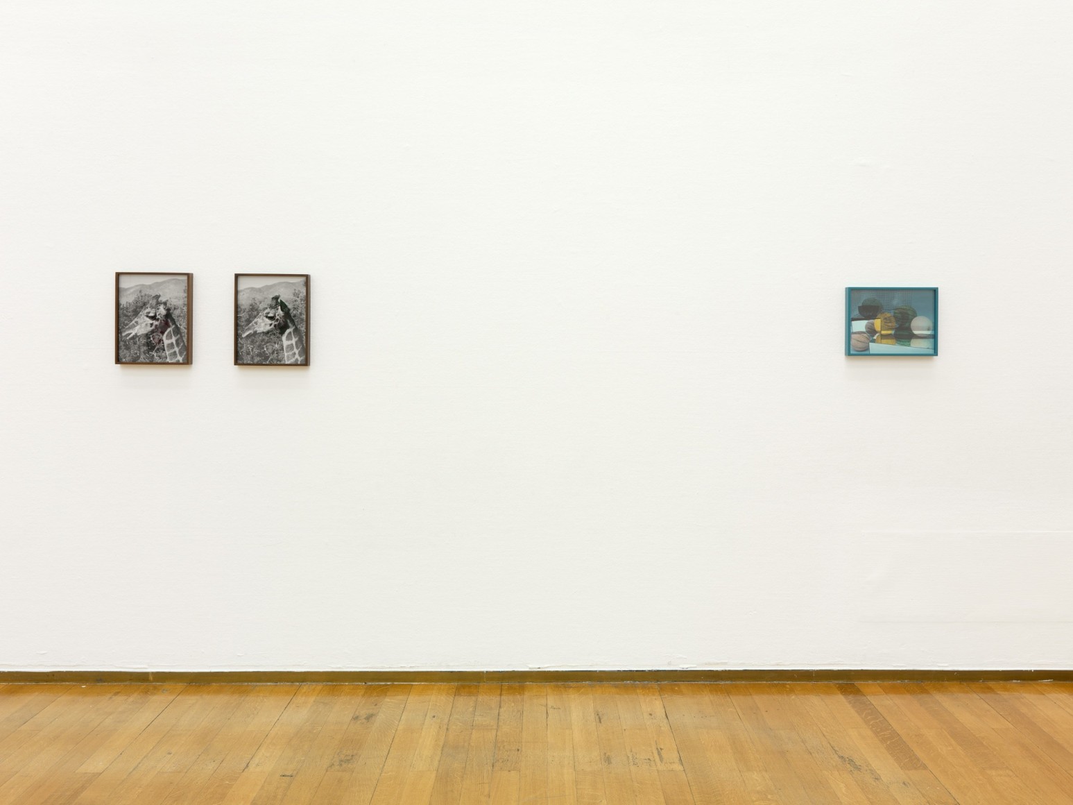 Elad Lassry, Installation view: Padiglione d’Arte Contemporanea, Milan, 2012