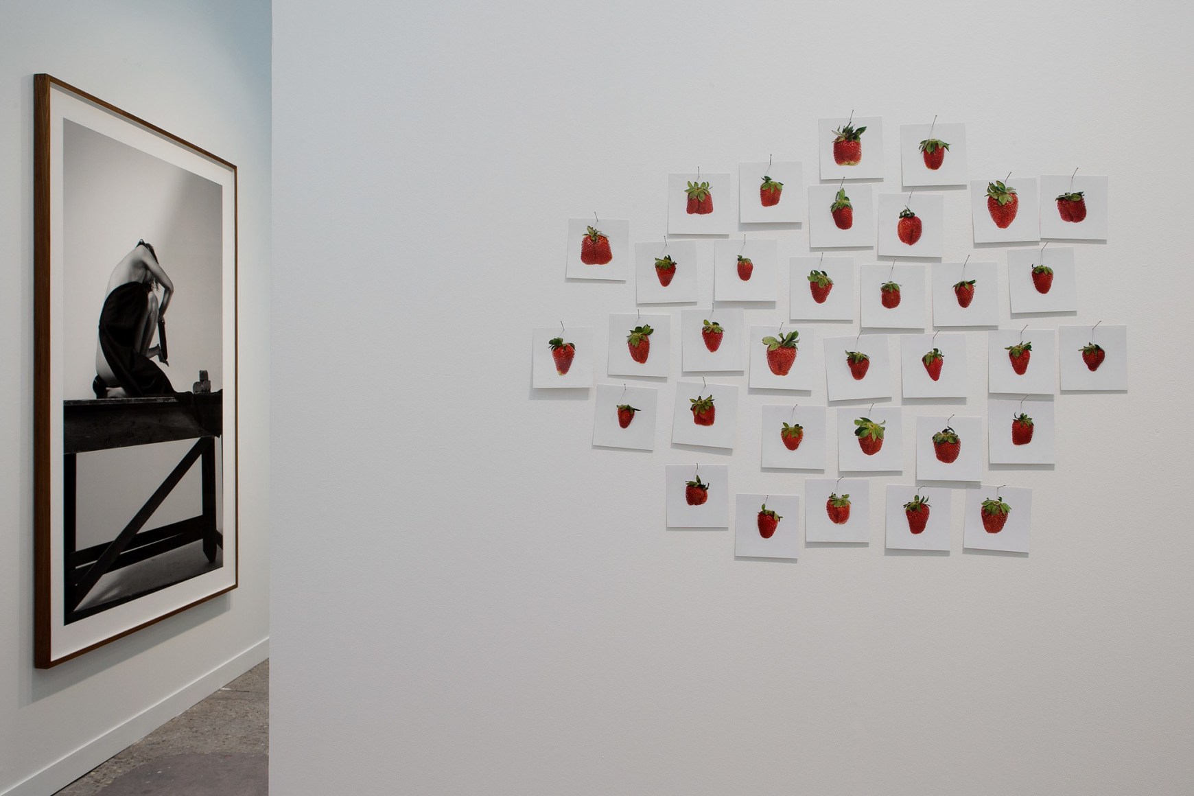 Paris Photo, 2014, 303 Gallery, Stand A32