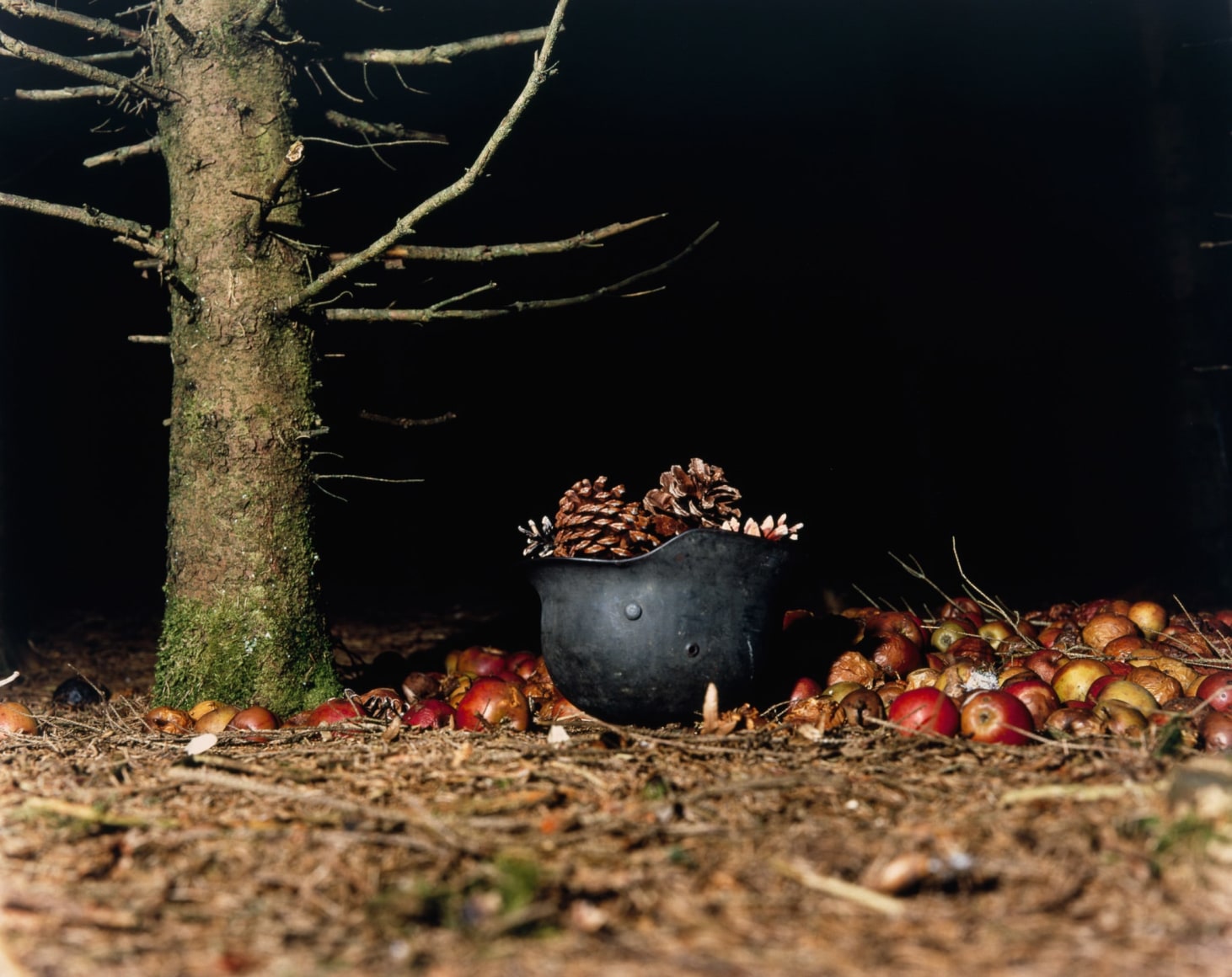 Collier Schorr, Helmet