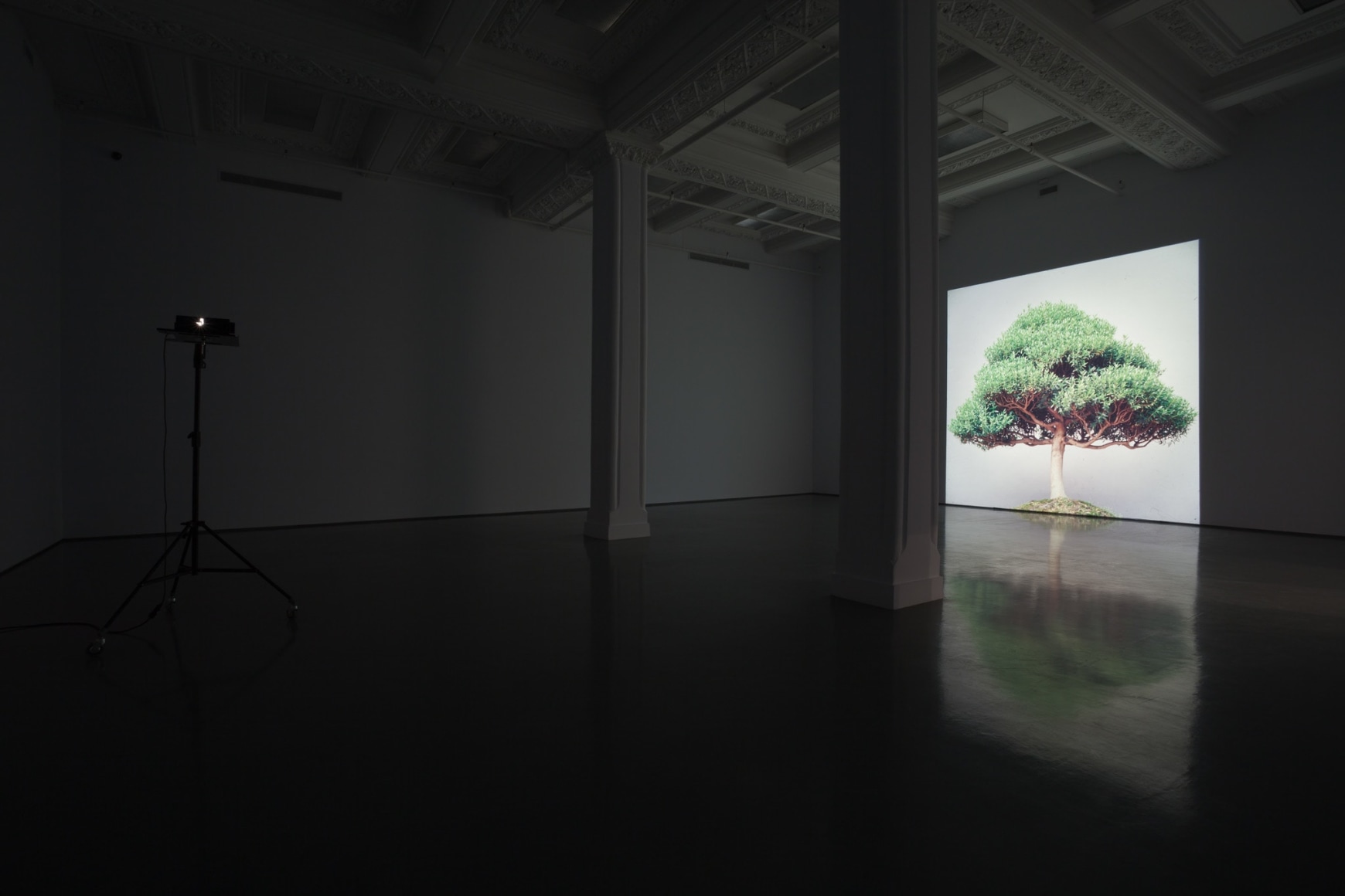 Ceal Floyer, Installation view: DHC/ART. Montréal, Québec, 2011