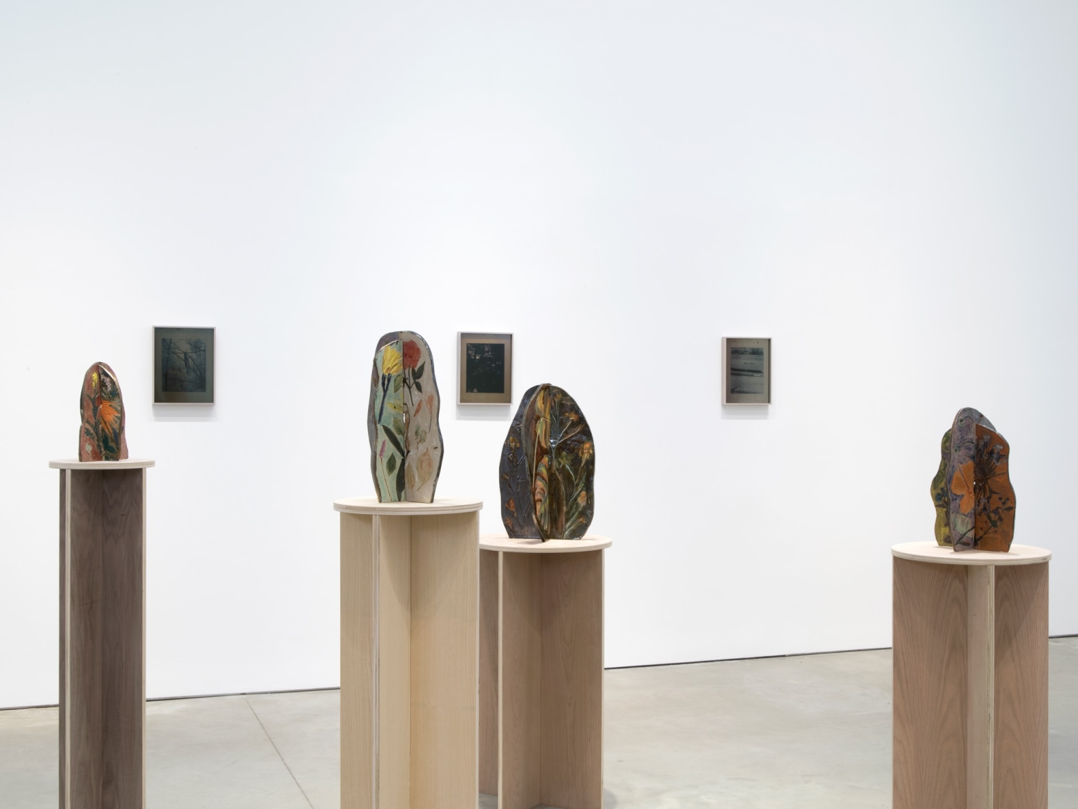 Exhibition view: Sam Falls, 303 Gallery, New York, 2018