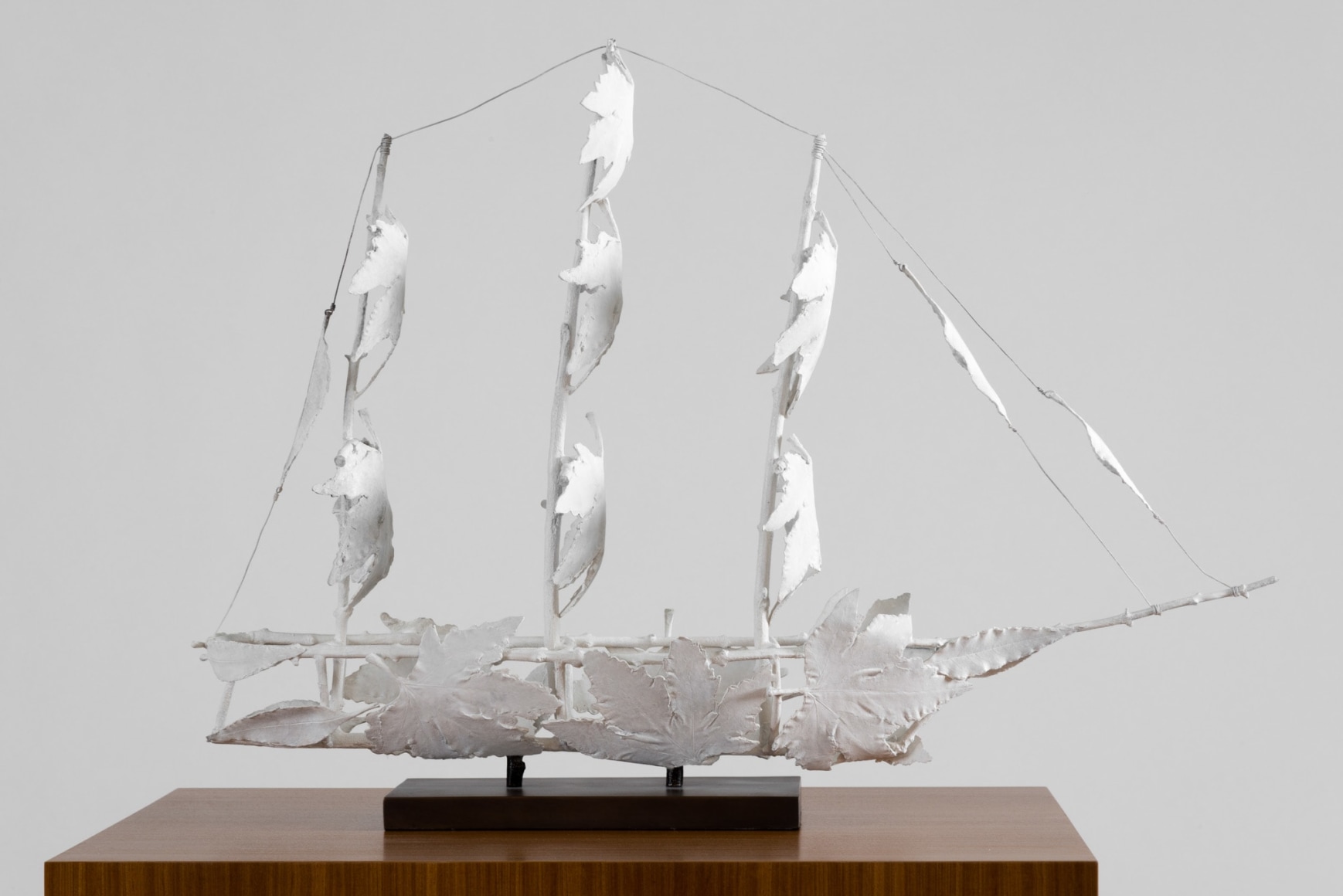 Matt Johnson, Flying Cloud, 2012