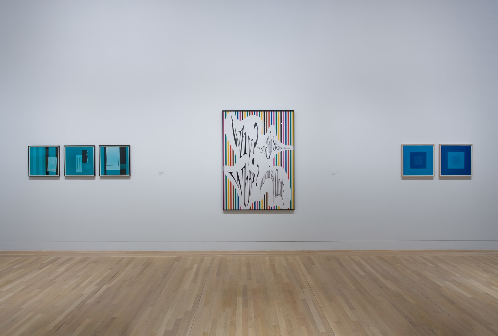 Larry Johnson, Installation view: Hammer Museum, Los Angeles, 2009