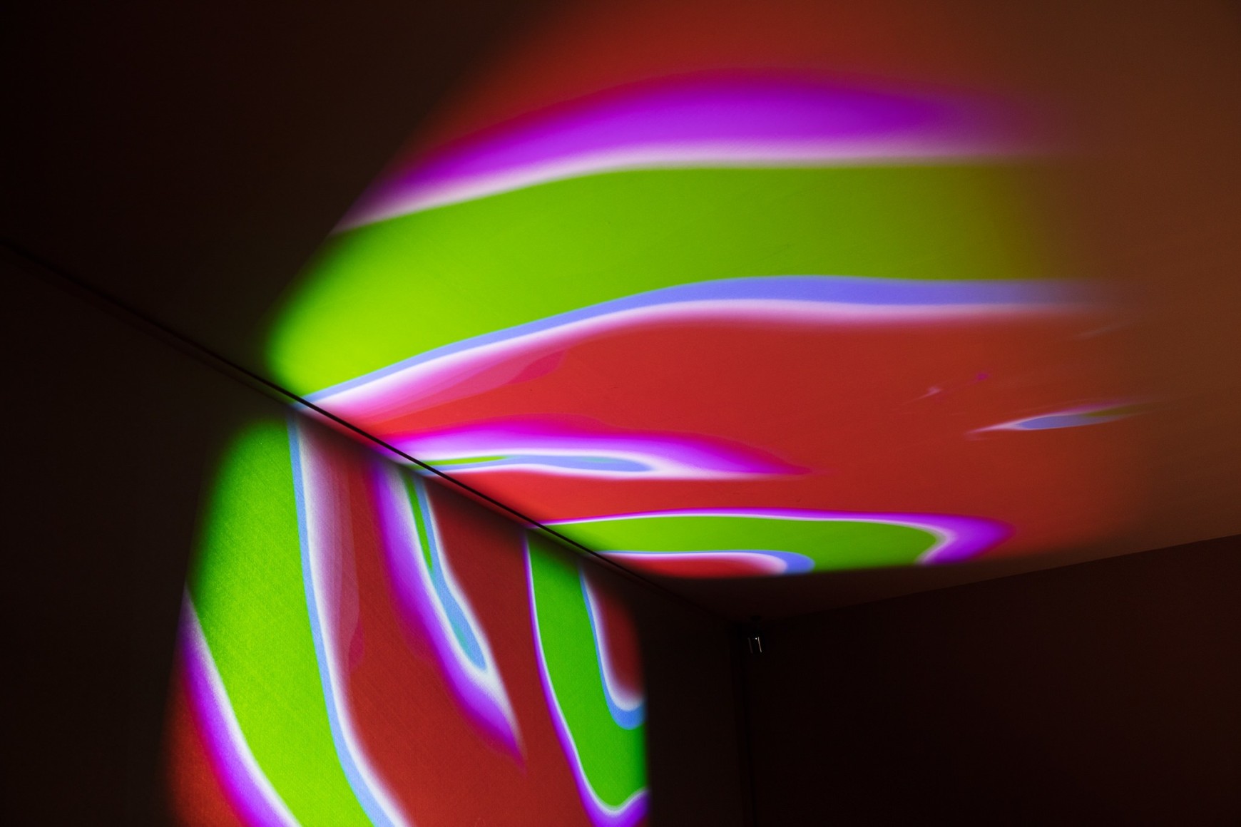Dominique Gonzalez-Foerster, Endodrome, 2019