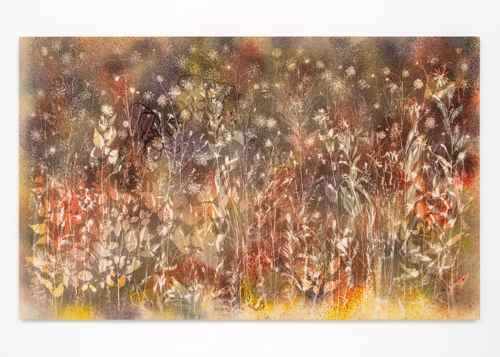 Sam Falls, Northeast (wildflowers) 2