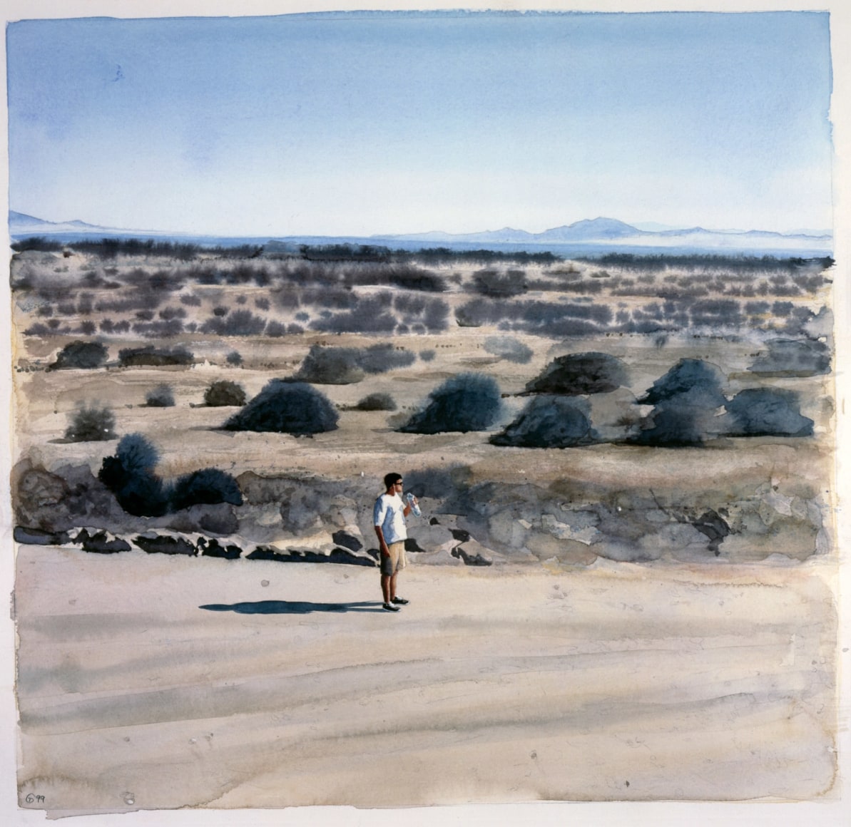 Tim Gardner, On a Plain, 1999