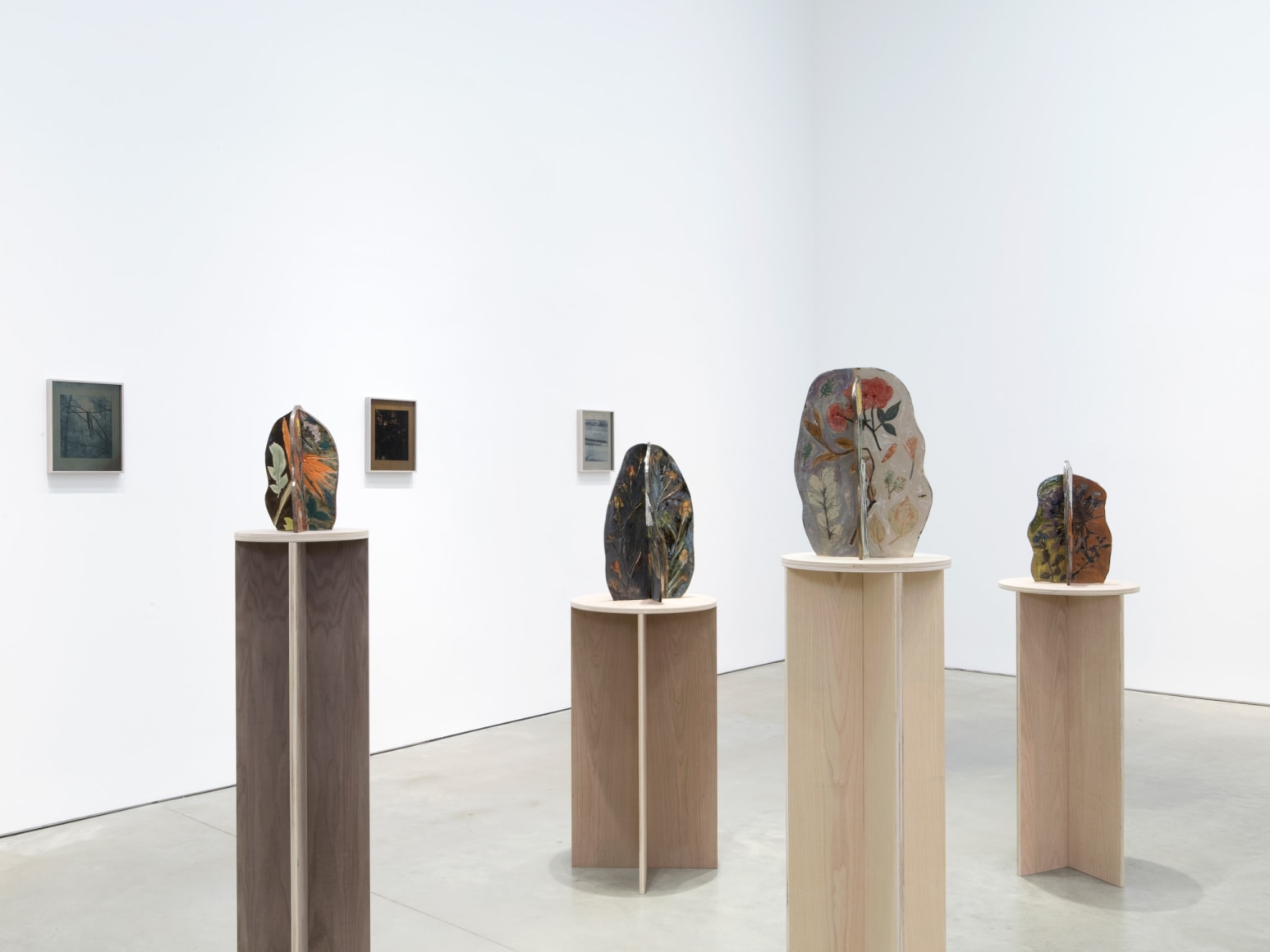 Exhibition view: Sam Falls, 303 Gallery, New York, 2018