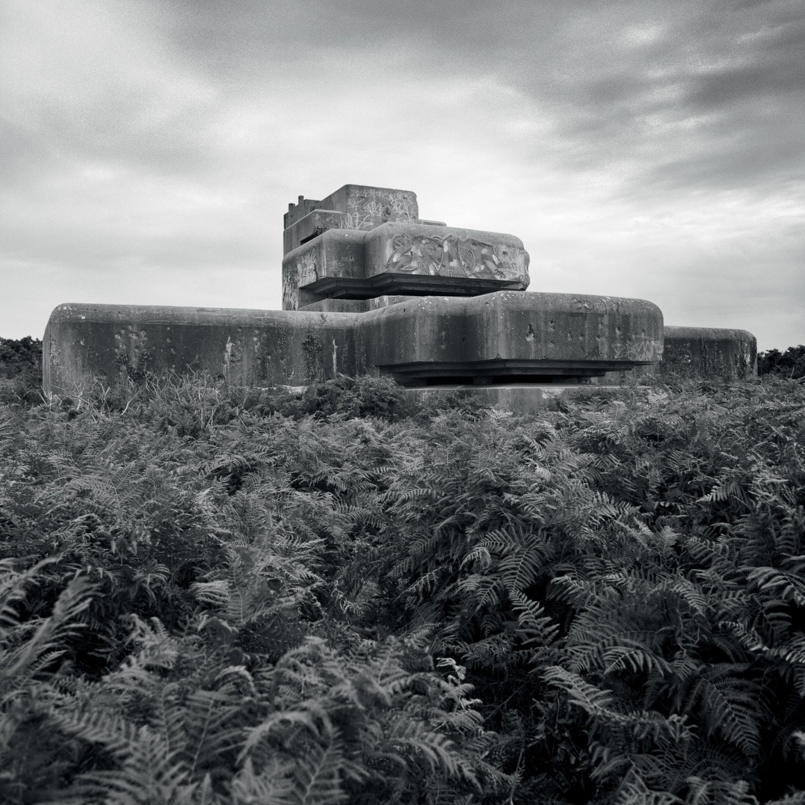 Jane &amp; Louise Wilson, Sea Eagle, 2006