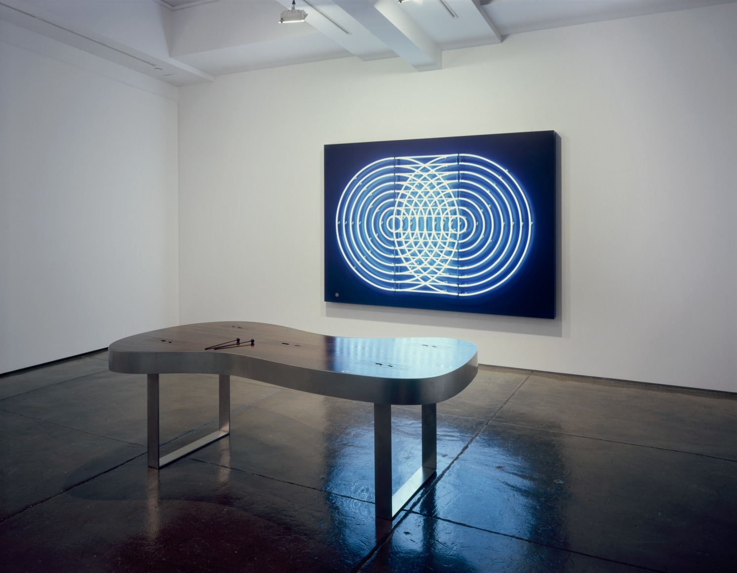 Doug Aitken, Installation view: 303 Gallery, 2007