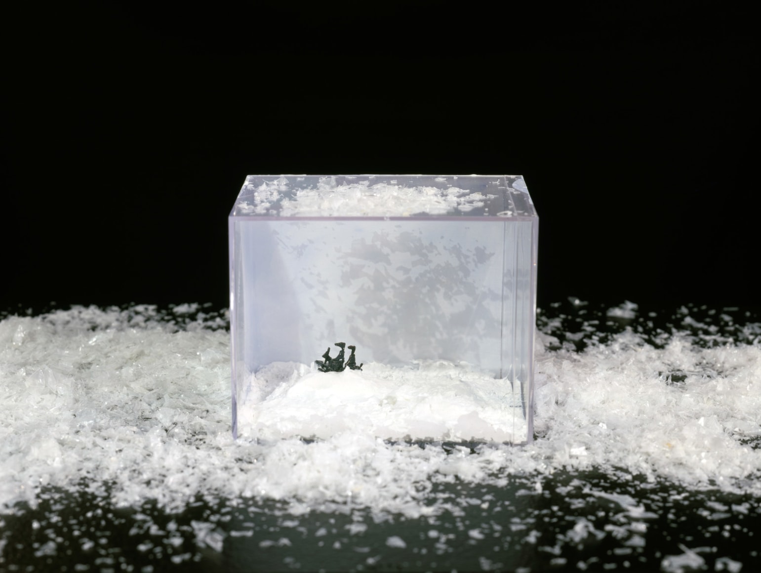 Karen Kilimnik, Endurance in the Ice, 2000