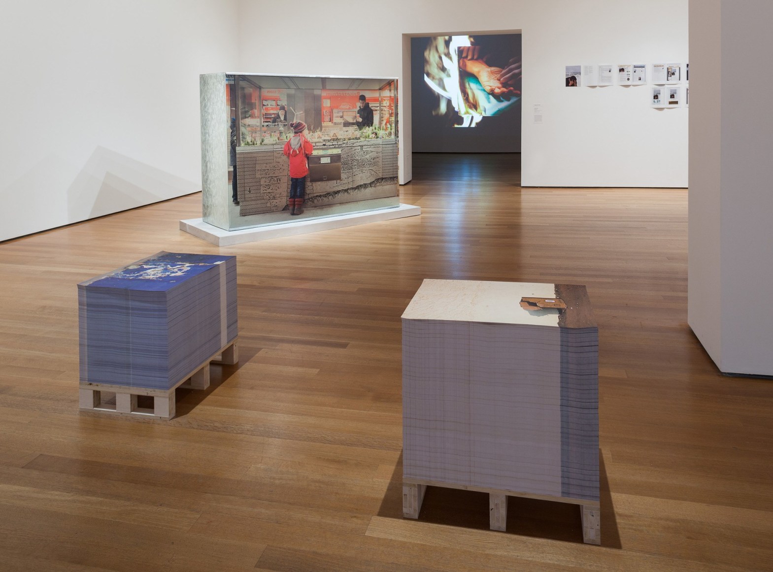 Marina Pinsky, Installation view: Ocean of Images: New Photography 2015, MoMA, New York