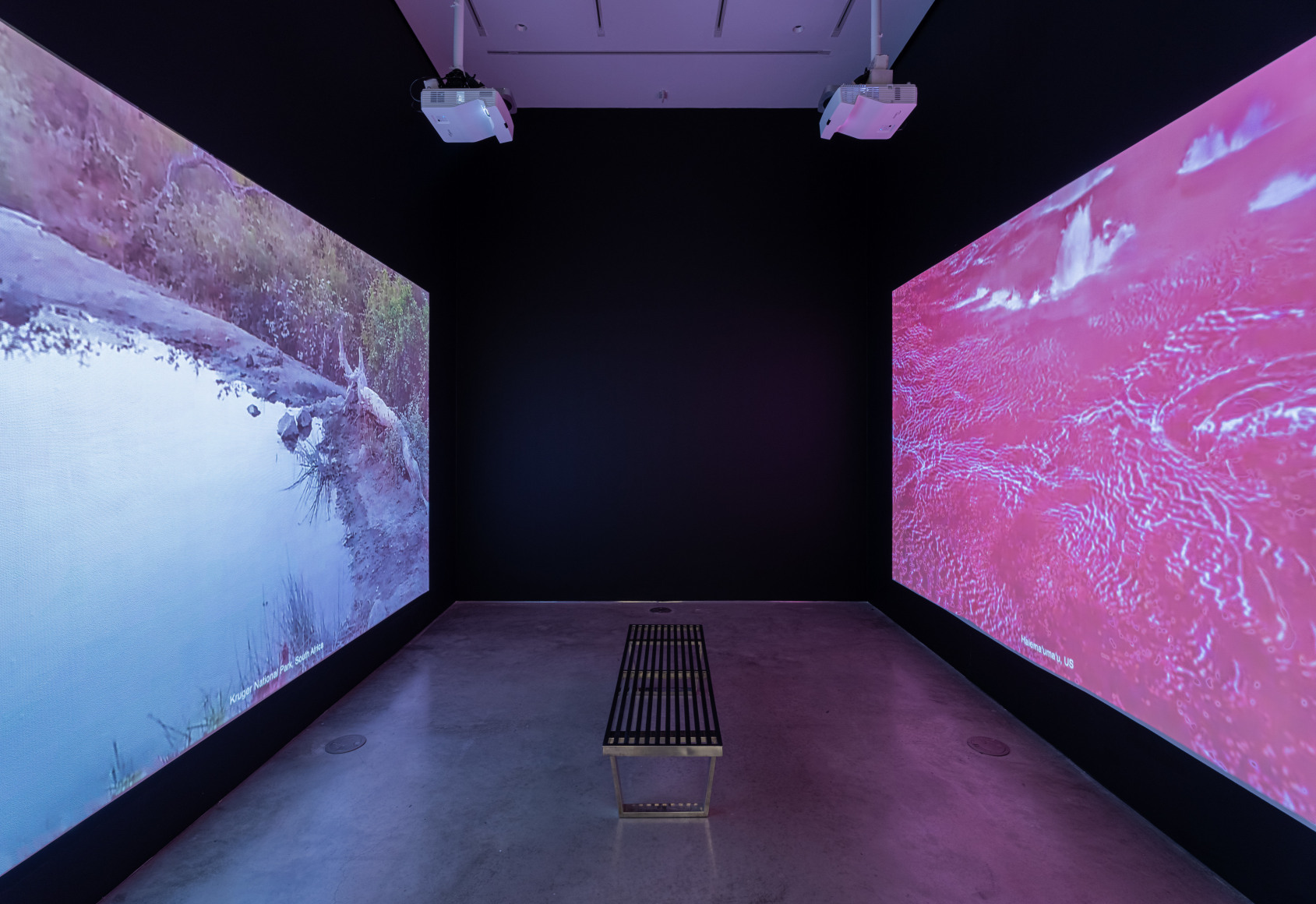 Exhibition view: Sam Falls, 303 Gallery, New York, 2023. Photo: Justin Craun