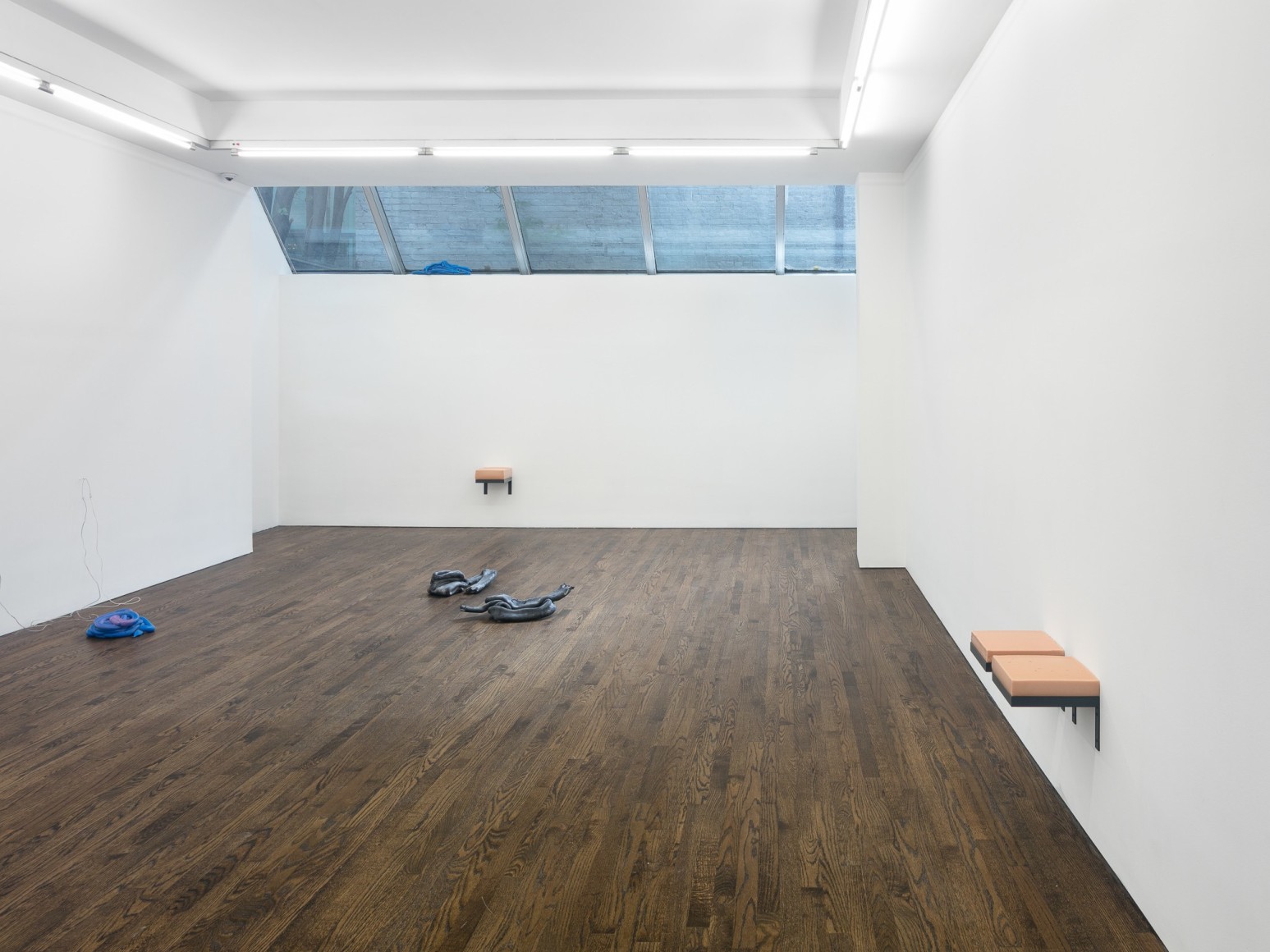 Nina Canell, Installation view:&nbsp;Viscosity,&nbsp;The Artist&rsquo;s Institute,&nbsp;2017, Photo:&nbsp;Charles Benton