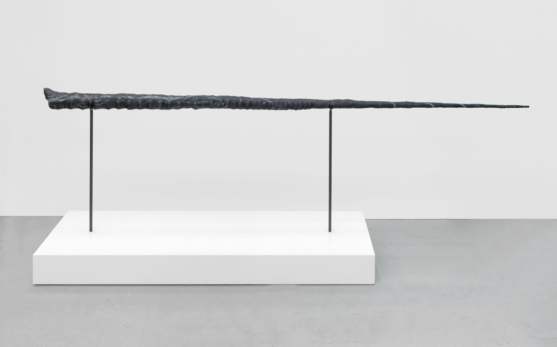 Alicja Kwade, Entwicklung 2048 (snail speed), 2016