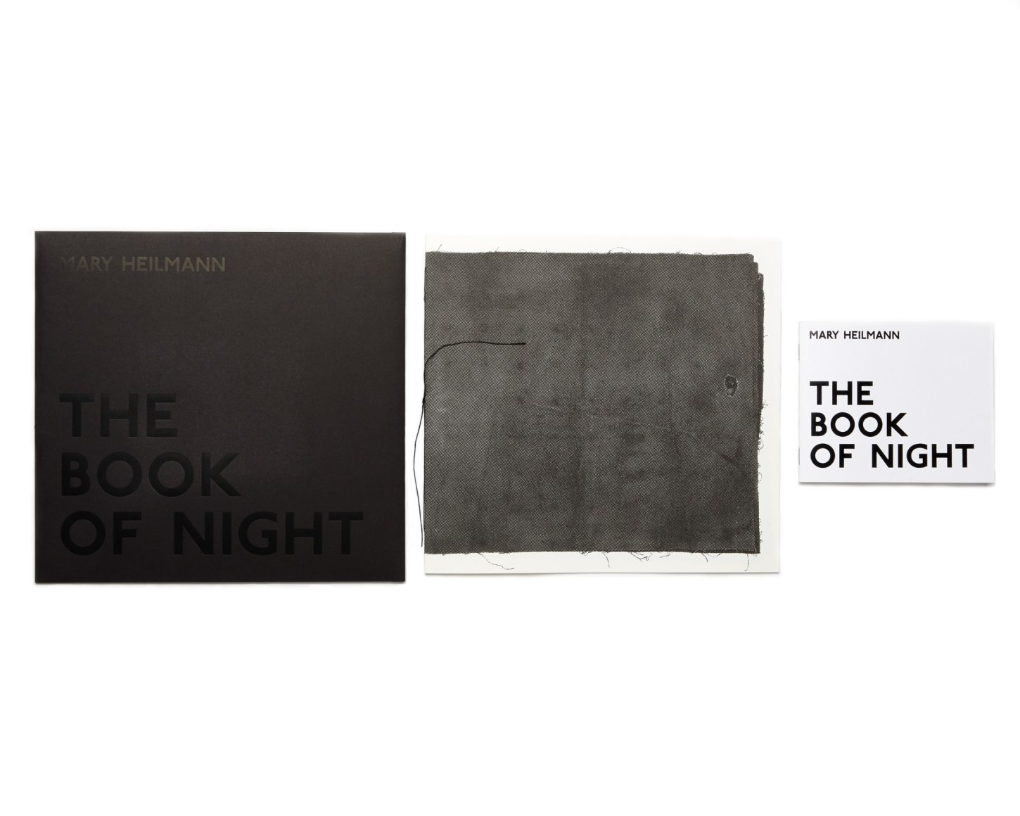 Mary Heilmann, The Book of Night, 2016