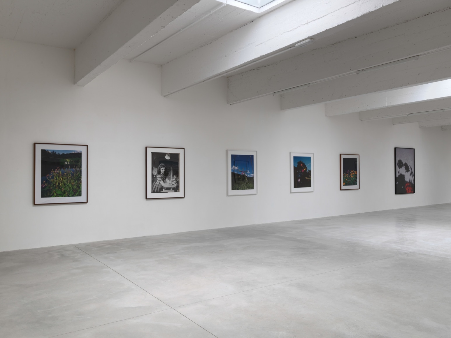 Installation view:&nbsp;L&rsquo;almanach 14: Collier Schorr