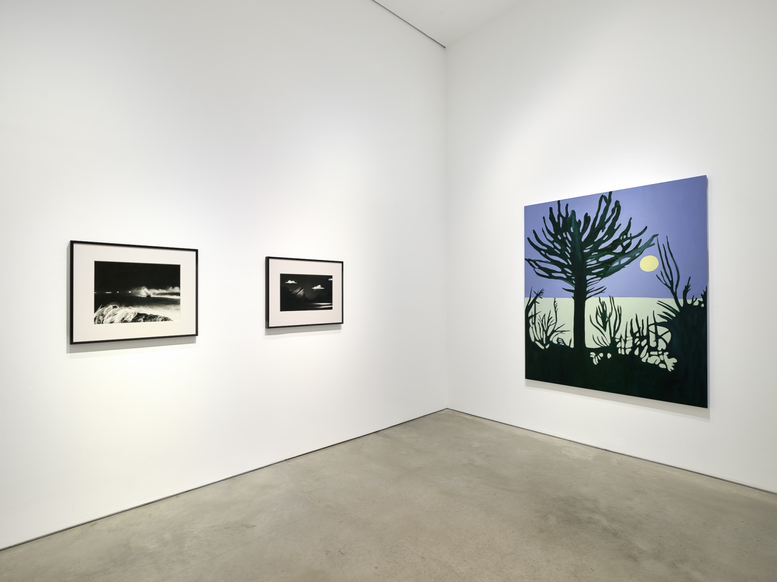 Installation view: 303 Gallery: 40 Years, 303 Gallery, New York, 2024. Photo: Justin Craun