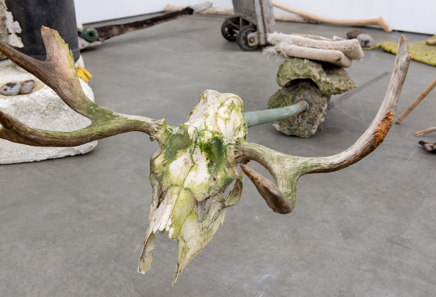 Mike Nelson, Gang of Seven, 2013