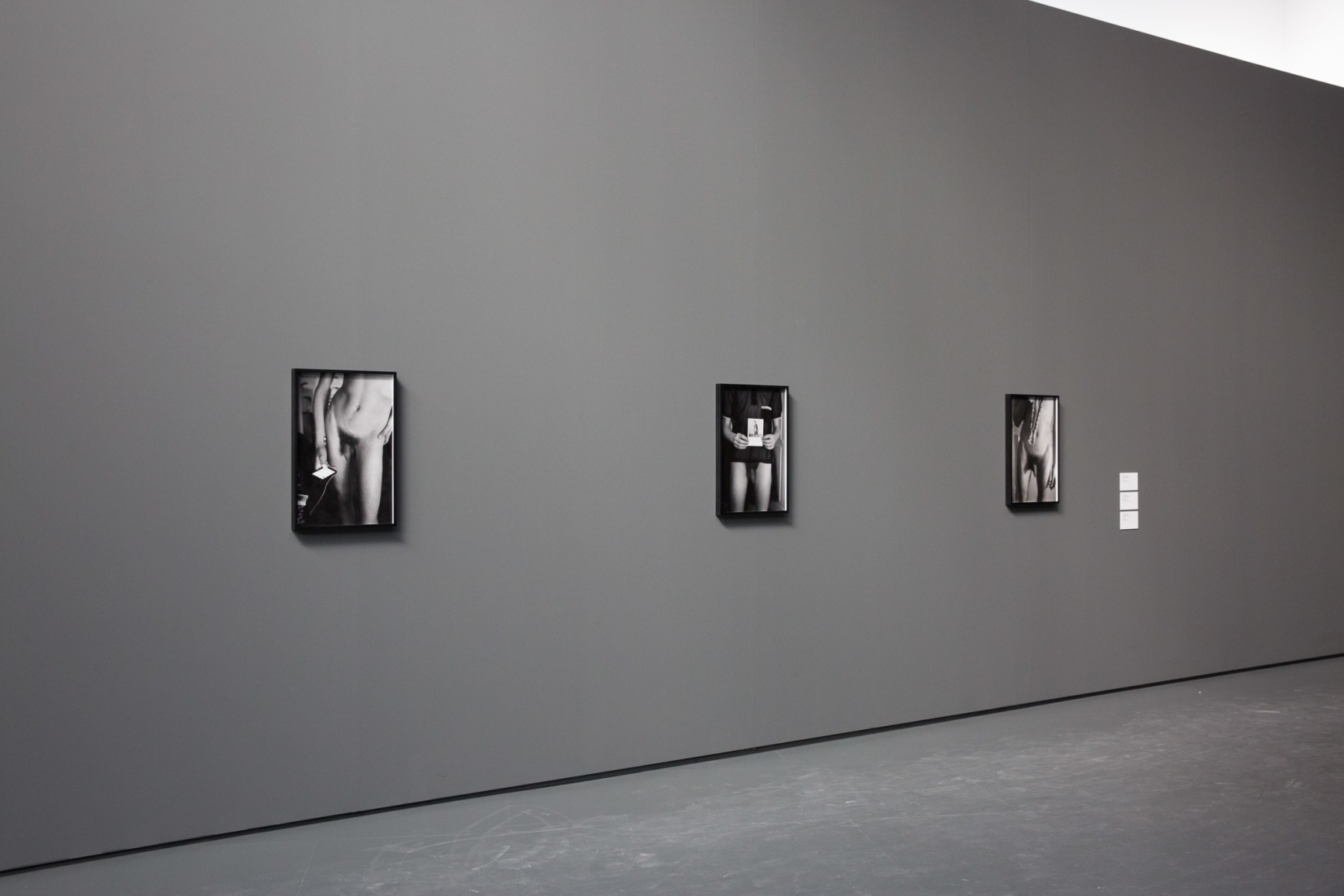 Collier Schorr: Shutters, Frames, Collections, Repetition, LUMA Arles, 2016