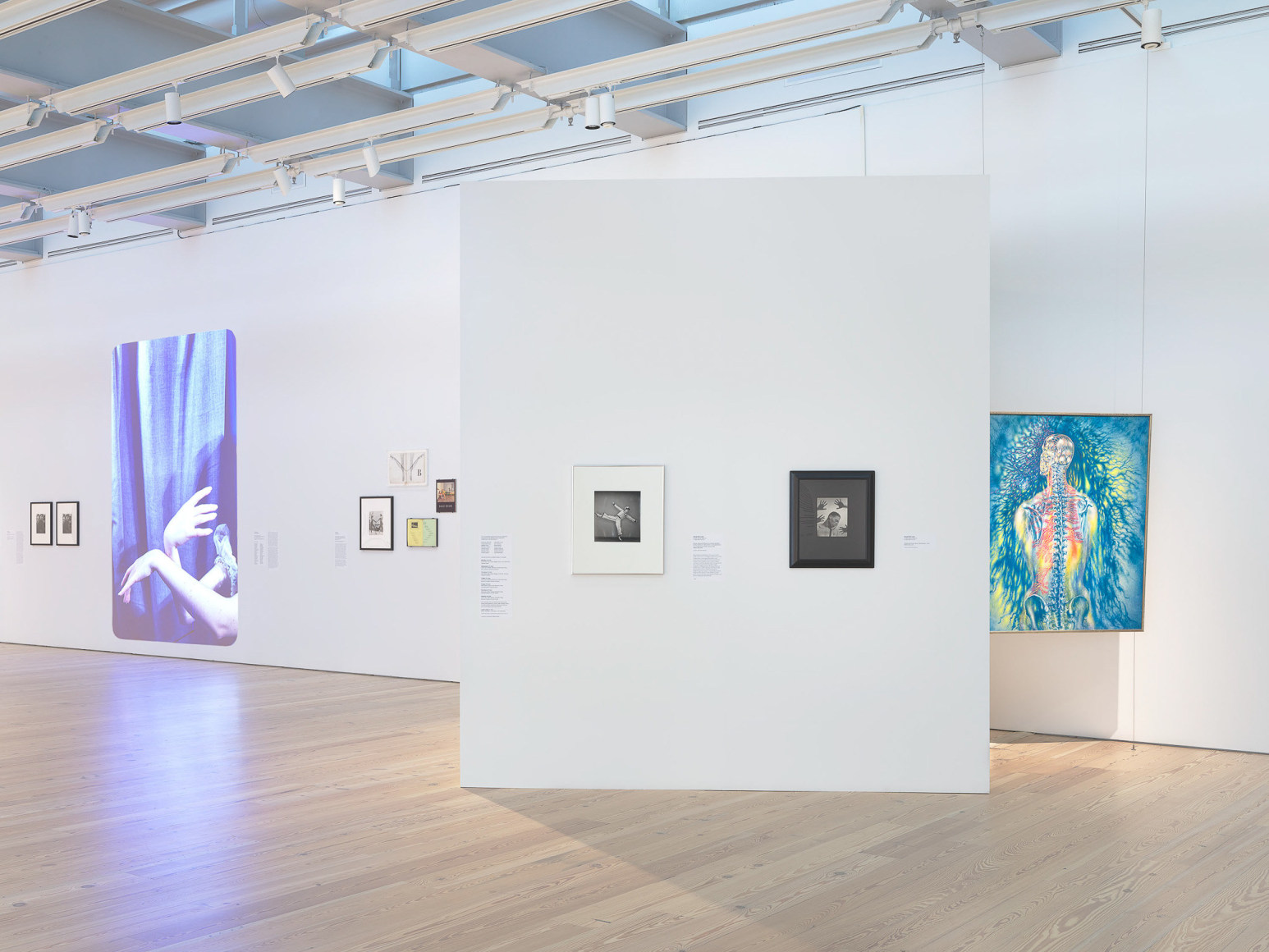 Installation view of Nick Mauss: Transmissions, Whitney Museum of American Art, New York, 3/16 - 5/14/2018
