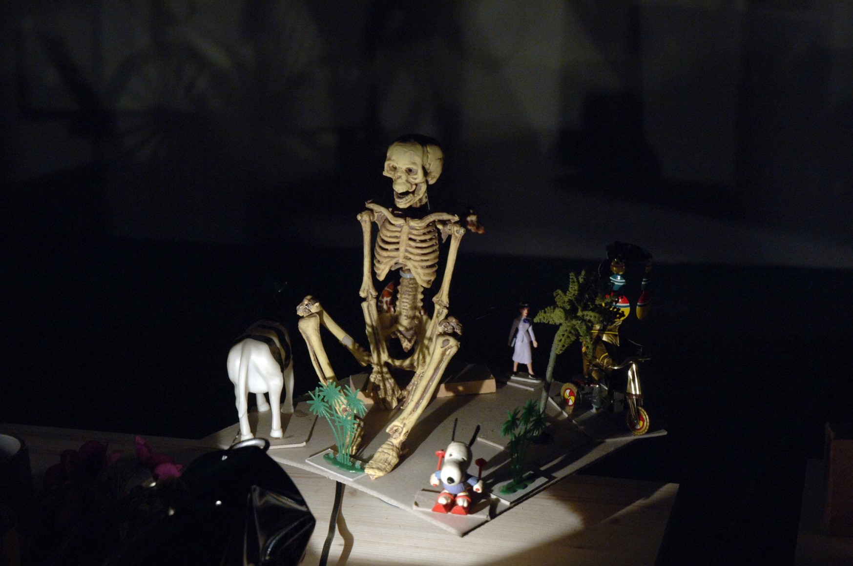 Hans-Peter Feldmann, Shadowplay, Venice Biennale 2009