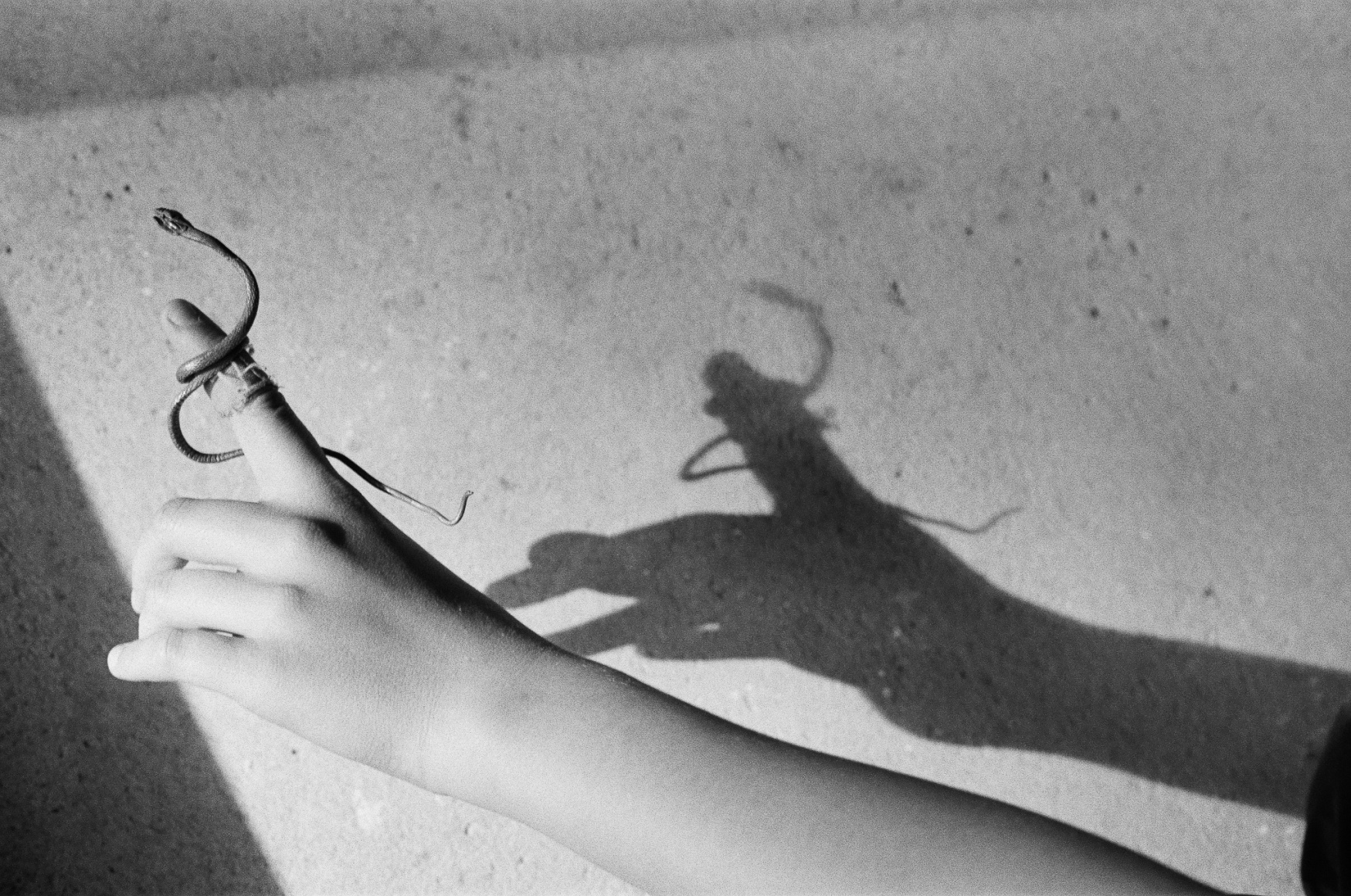 Katinka Bock, Some and any fleeting, 3