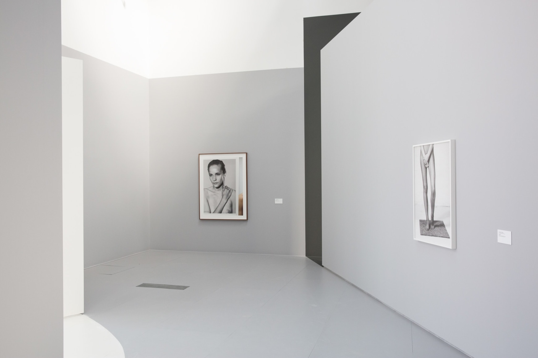 Collier Schorr: Shutters, Frames, Collections, Repetition, LUMA Arles, 2016