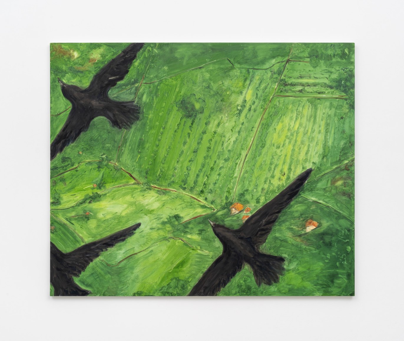 Tanya Merrill, Crows over Italian landscape