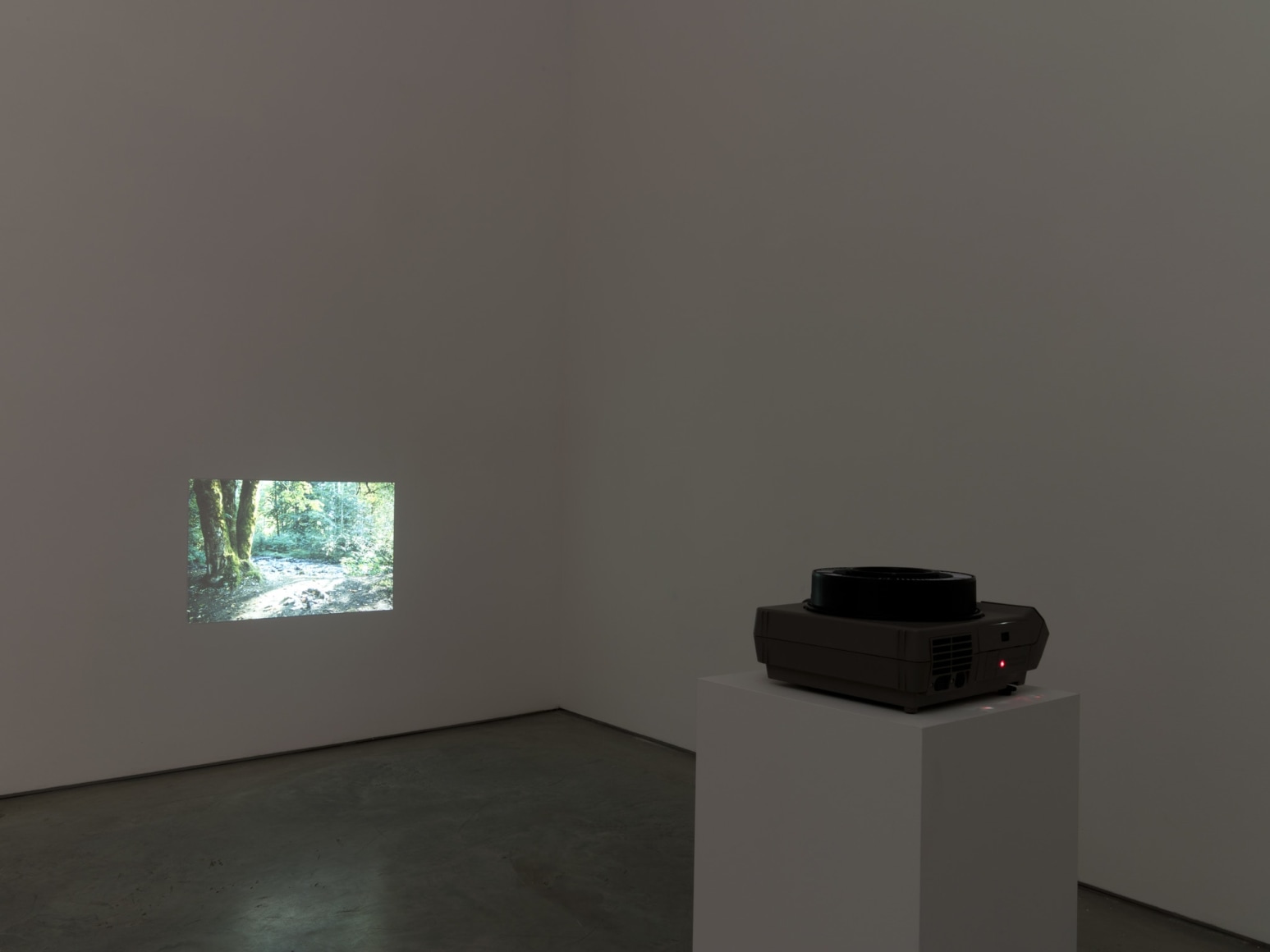 Mike Nelson, Untitled (Eighty Circles through Canada) 2013, Installation at 303 Gallery, New York, 2015