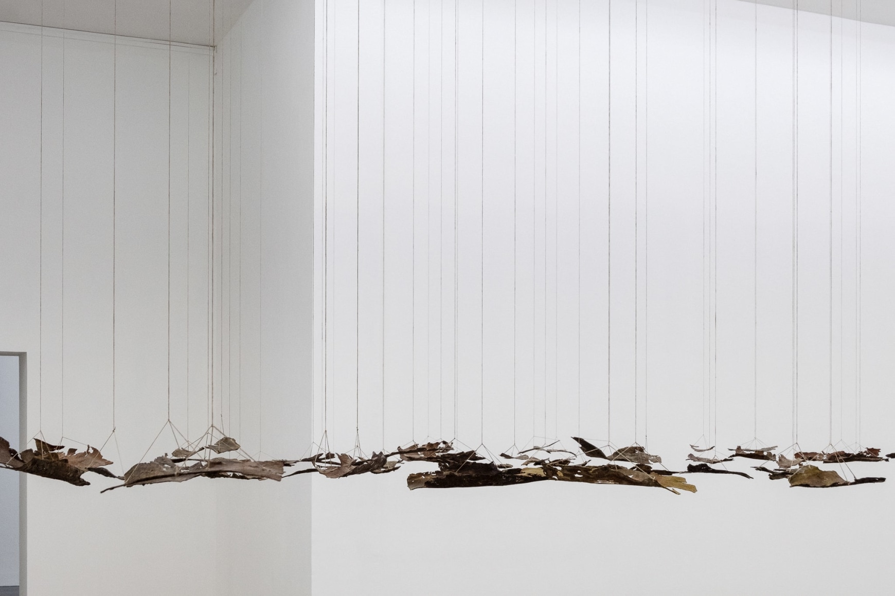 Installation view: Katinka Bock - Radio / Tomorrow’s Sculpture