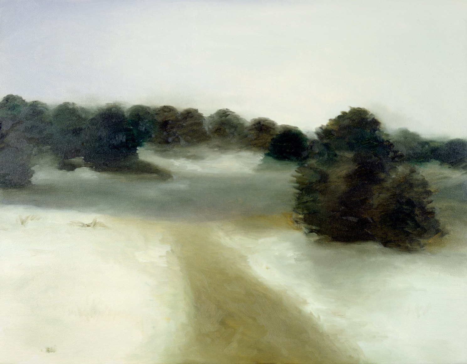 Maureen Gallace, Icy Lake in January, Newtown, CT, 1997