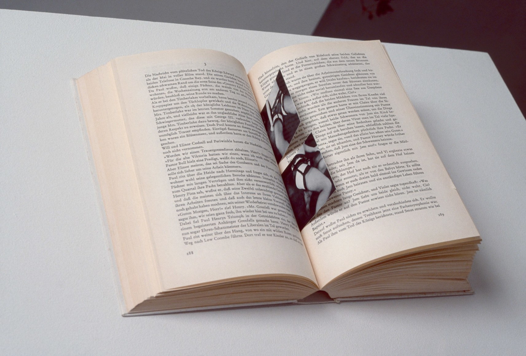 Hans-Peter Feldmann, Secret Picturebook