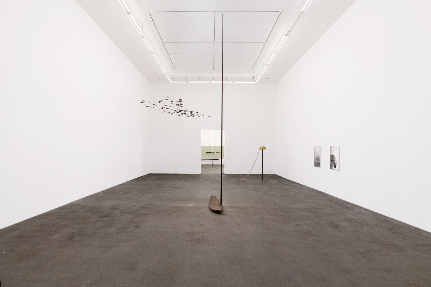 Installation view: Katinka Bock: Silver, Crac Occitanie, Sète, 2023.