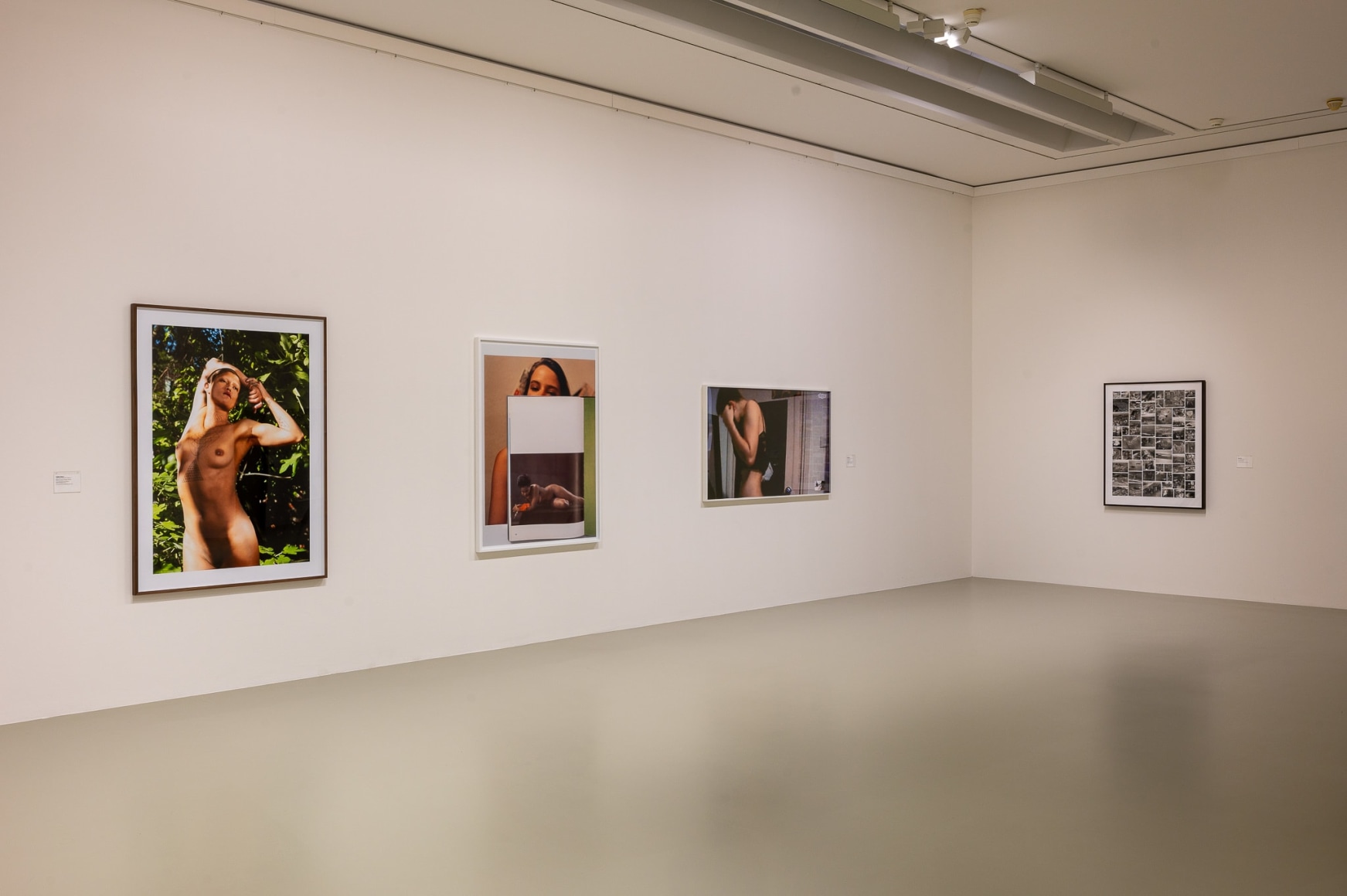 Collier Schorr, Installation view, True Pictures, Sprengel Museum, Hanover, 2021